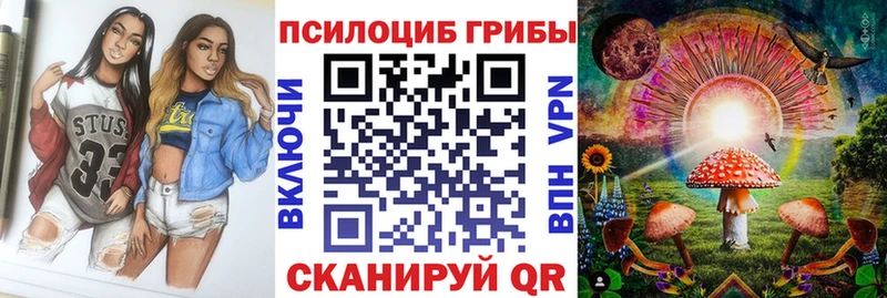 Купить закладки  Городовиковск  Псилоцибиновые грибы MAGIC MUSHROOMS 