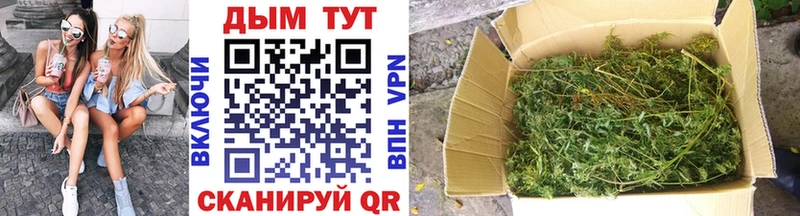Конопля Ganja  Купить где  Городовиковск 